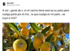 Enlace a Lo que hay en mi patio, es mío, por @josepe88773586