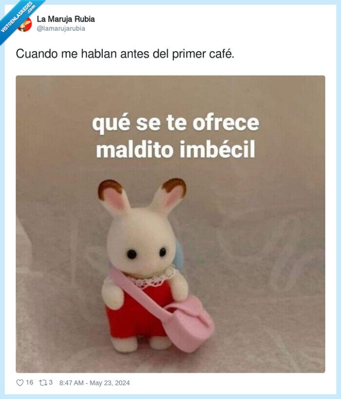 mañana,conejito,sylvanian,hablar,café