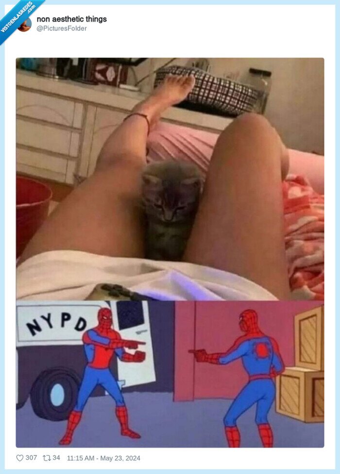 gato,spiderman,bajos