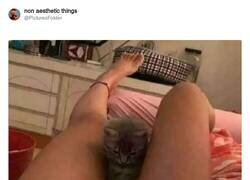 Enlace a PSPSPSPSPSPS, por @PicturesFoIder