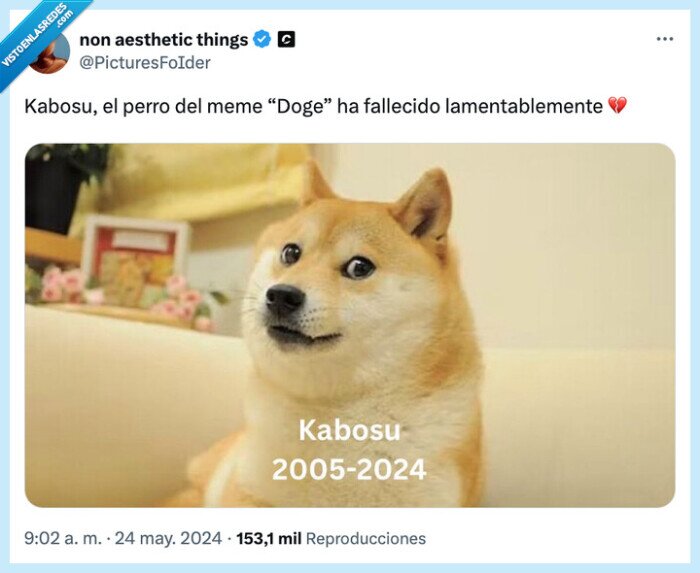 dep,meme,doge,perro