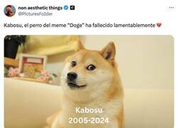 Enlace a Descansa en paz, Kabosu