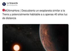 Enlace a Yo voy a ir tirando, que si no luego se peta de peña