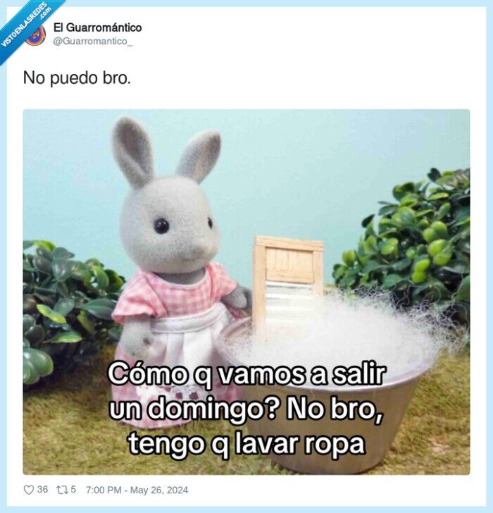 domingo,lavar ropa,ropa,lavanderia,quedar