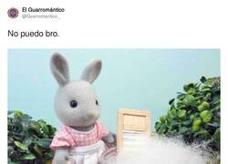 Enlace a Se le llama madurar, por @Guarromantico_