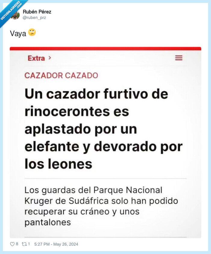 cazador,furtivo,devorado,leones,elefante