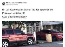 Enlace a ¡Gatito, te elijo a ti!, por @nacional_memes