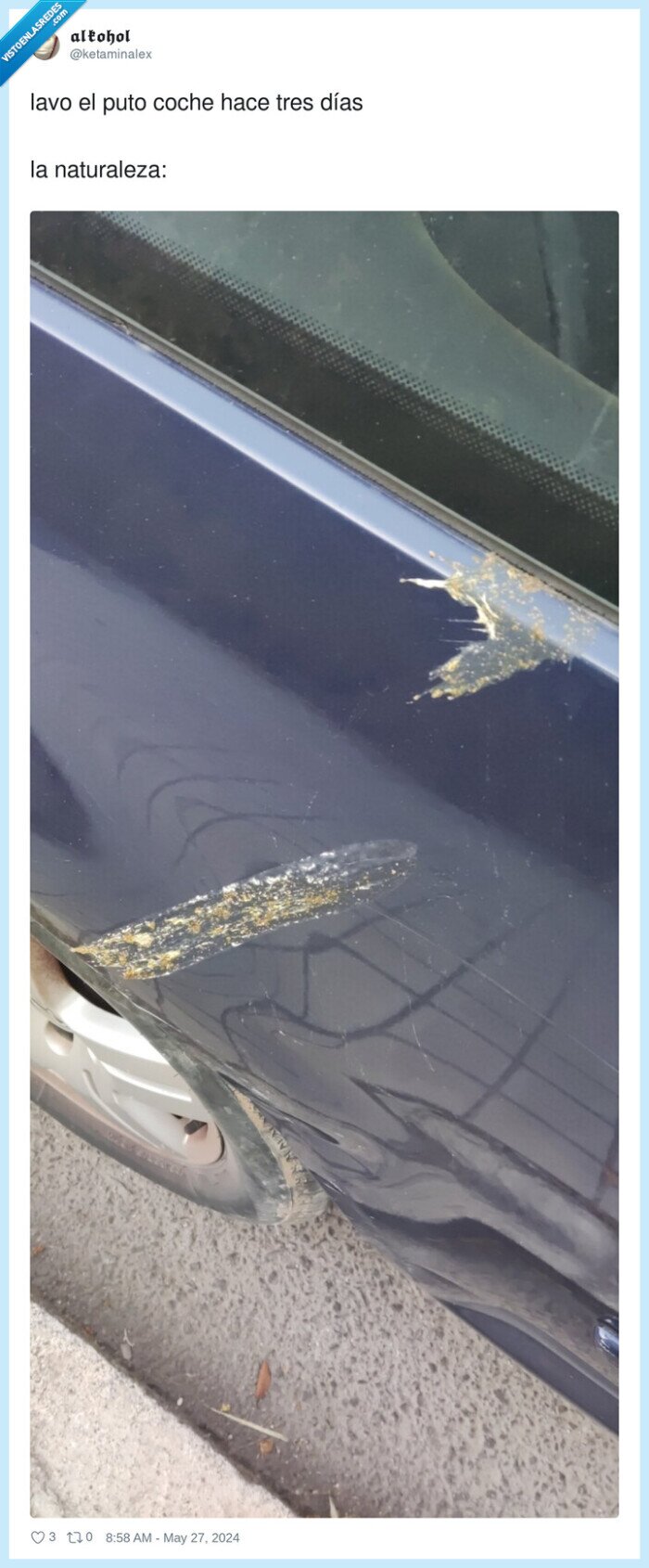 naturaleza,coche,lavar,cagada,paloma