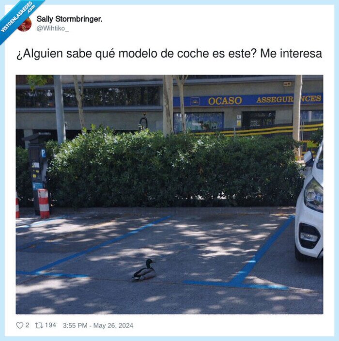 interesar,modelo,coche,pato