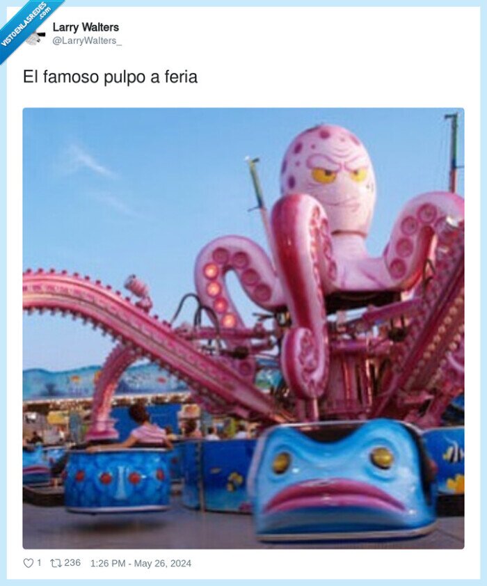 famoso,pulpo,feria