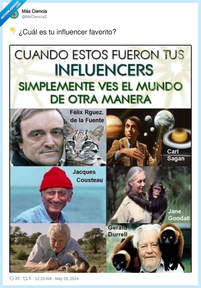 influencer,favorito,cuál