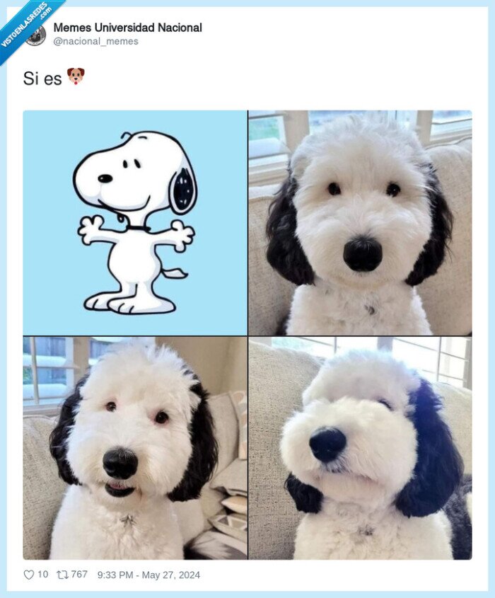 1586151 - ¡Es él!, por @nacional_memes