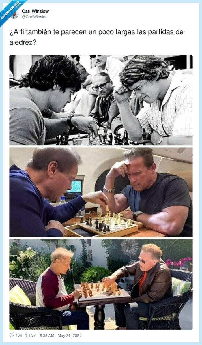 partida,ajedrez,larga,arnold schwarzenegger