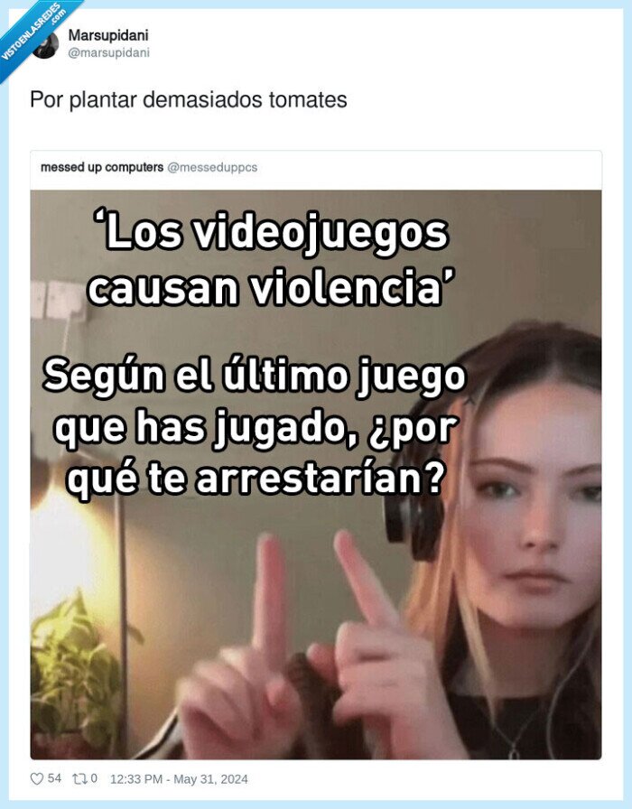 violencia,videojuegos,causar,arresto