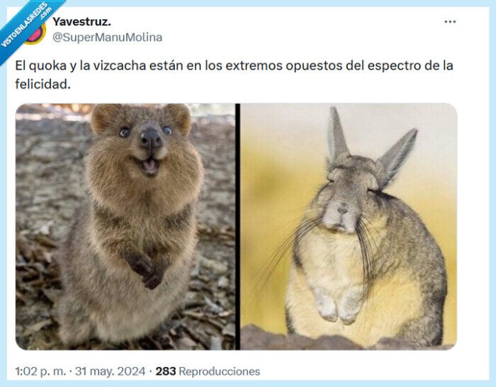 felicidad,espectro,vizcacha,extremos opuestos