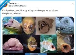 Enlace a Mejor soltero por @supermanumolina