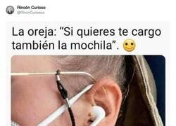Enlace a La oreja: 