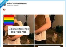 Enlace a Qué les costaba dedicar un mes a cada uno ¿no?, por @nacional_memes