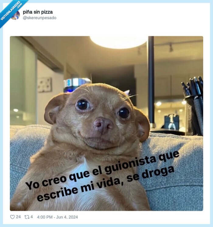 vida,perro,guionista,drogarse