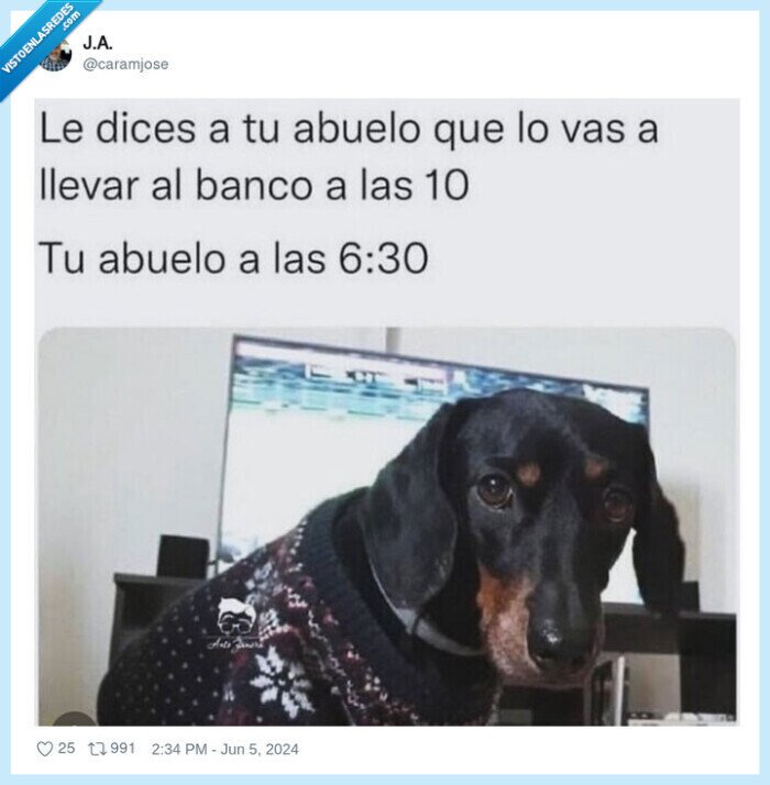 abuelitos,perro,banco,acompañar