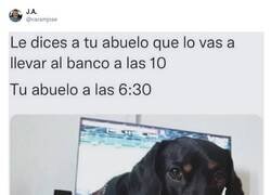 Enlace a Que nadie me toque a los abuelitos, por @caramjose