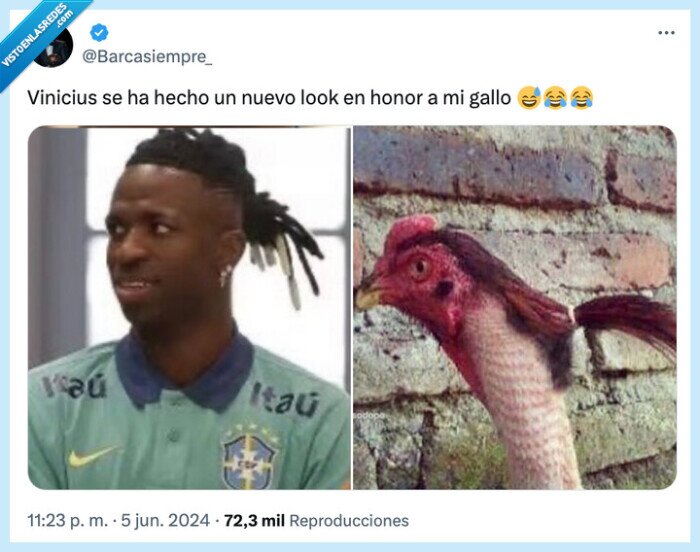 vinicius,peinado,nuevo,honor,gallo