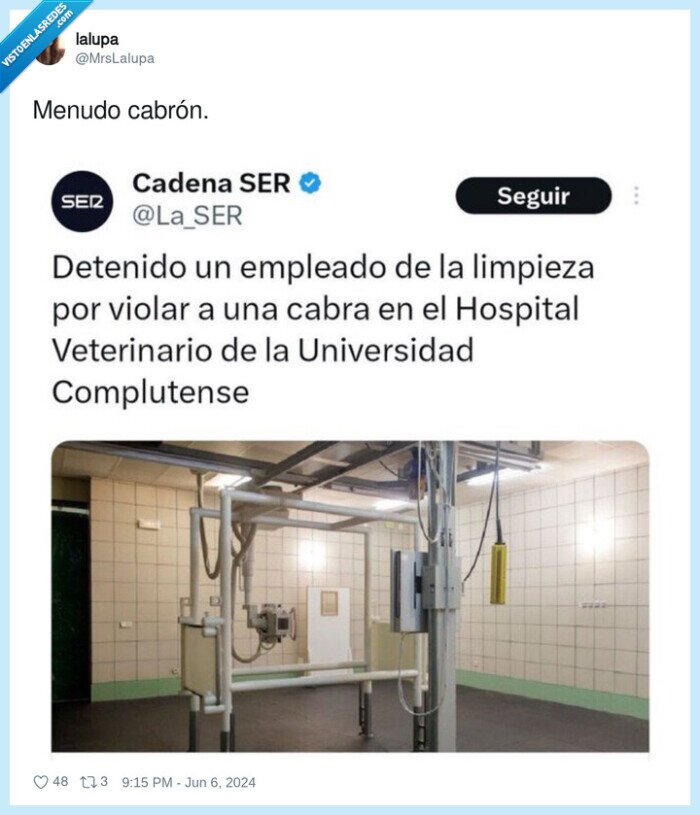 cabrón,menudo,cabra,veterinario