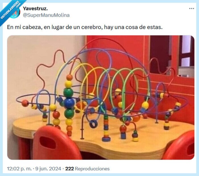 cerebro,cabeza