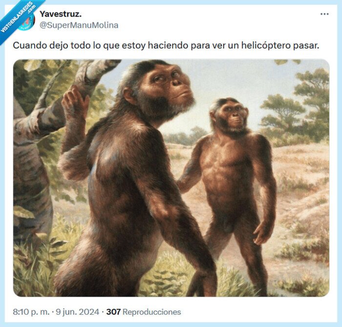 helicóptero,hacer,pasar