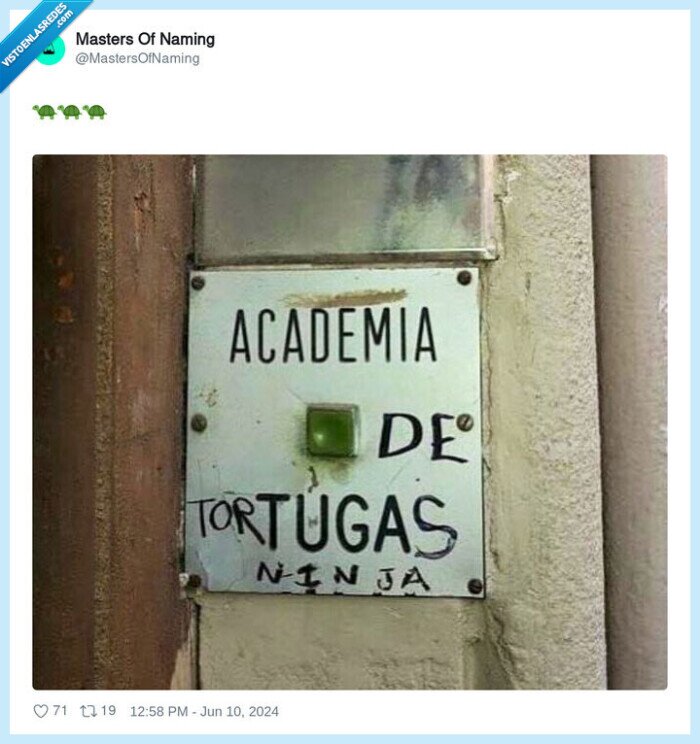 academia,tuga,tortugas ninja