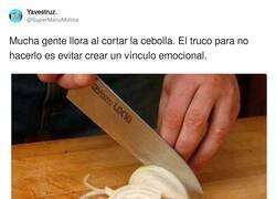 Enlace a Si lo hubiera sabido antes, por @SuperManuMolina