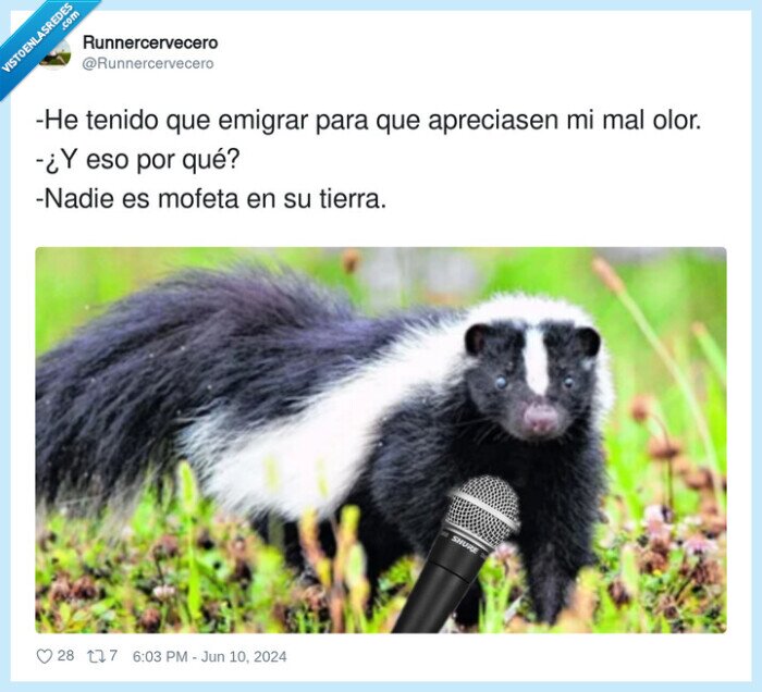 apreciar,emigrar,mofeta,tierra,nadie