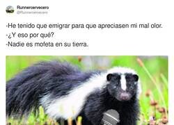 Enlace a Diría que el refrán no era así, por @Runnercervecero