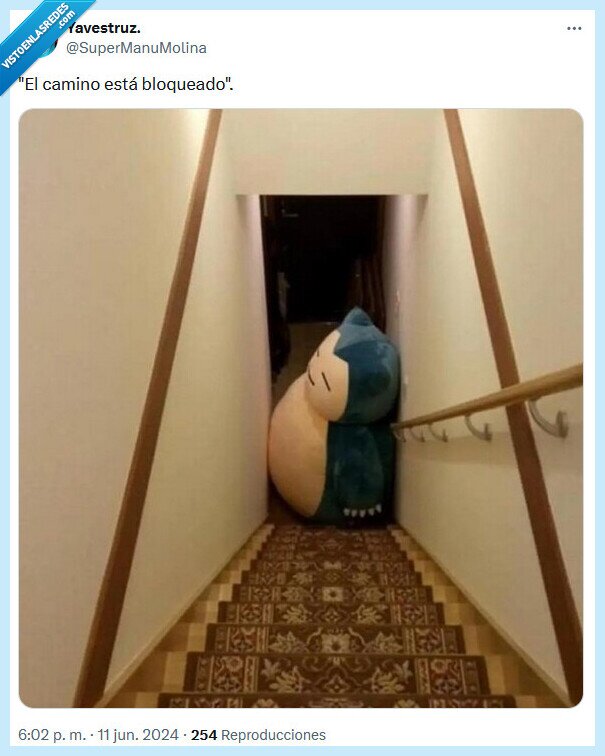 camino,bloqueado,pokémon