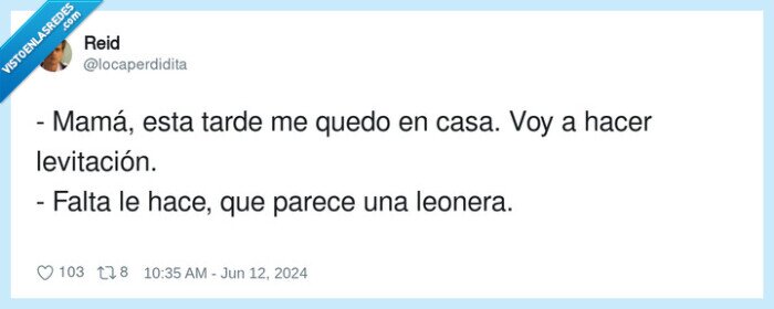 levitación,leonera,mamá,habitación,ordenador