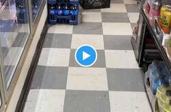Enlace a Las ratas que se ven por Nueva York ya son casi como mapaches