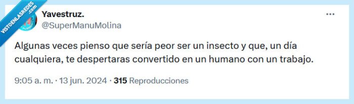 insecto,trabajo,kafka