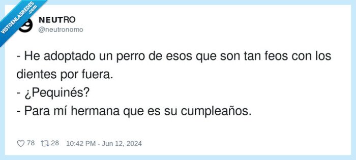 cumpleaños,pequinés,adoptado,perro