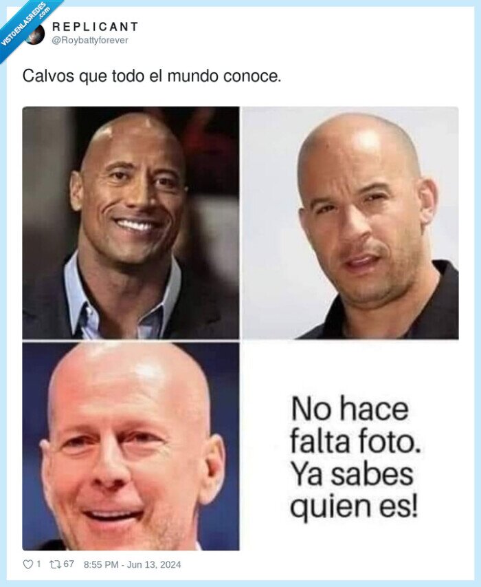 calvos,conocer,mundo