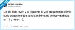 Enlace a ¿Cómo? ¿Que es 14?, por @LaMadredeBrian