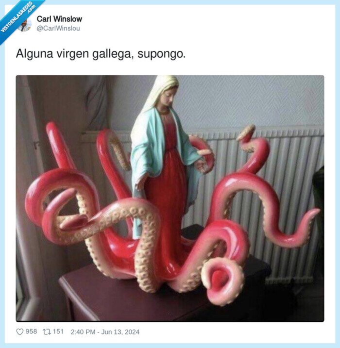 gallega,pulpo,virgen maria