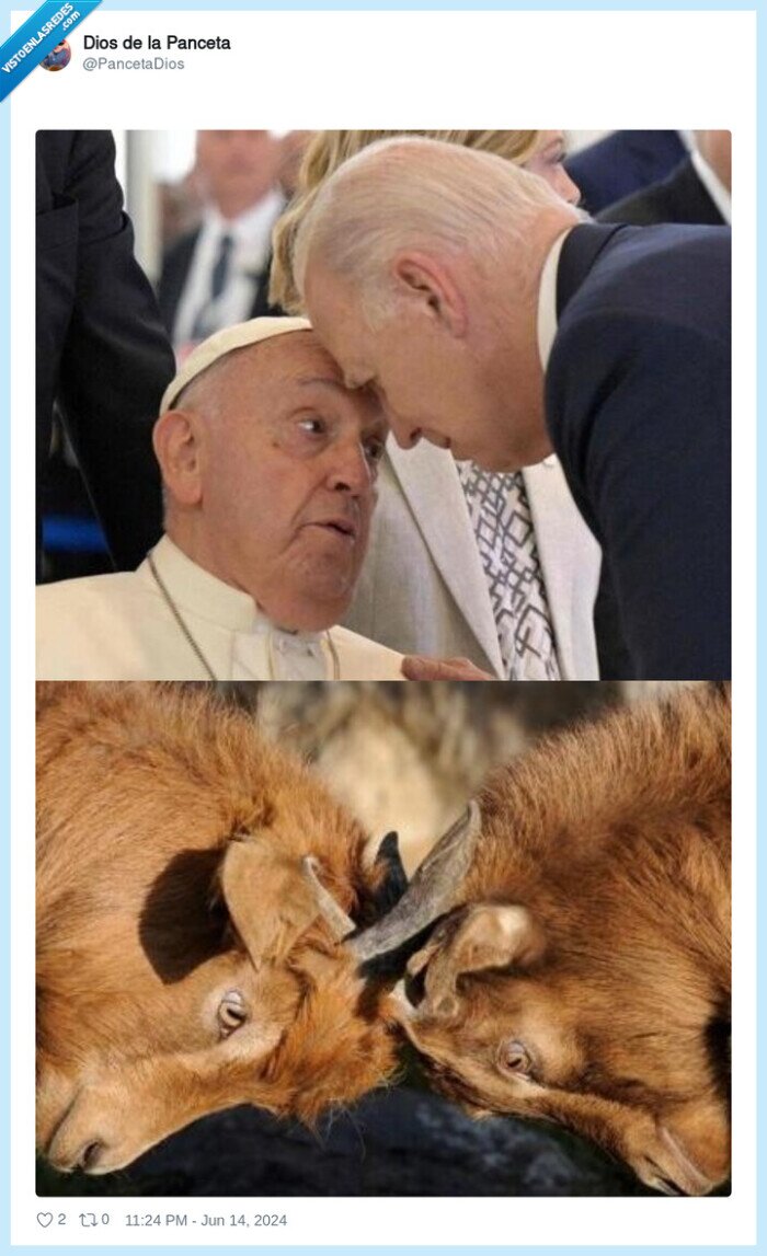 biden,el papa,papa,frente