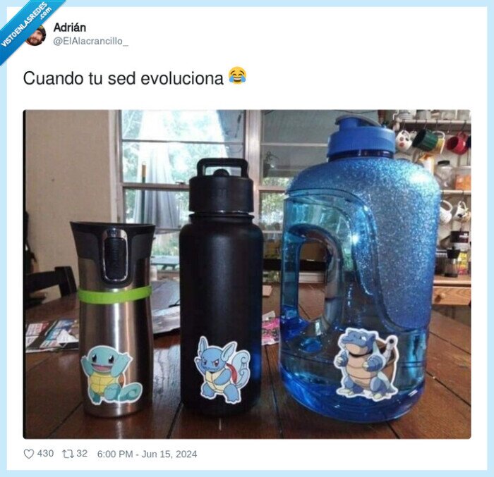 evolucion,sed,squirtle,agua