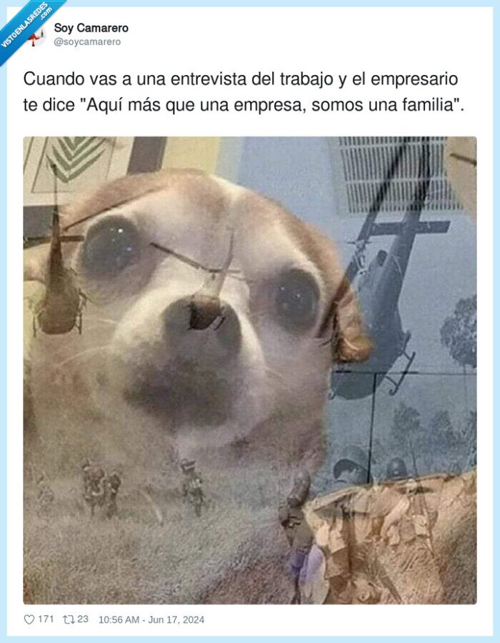 empresario,entrevista,empresa,trabajo,familia