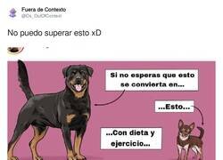 Enlace a Se les va la pinza la verdad, por @Ds_OutOfContext