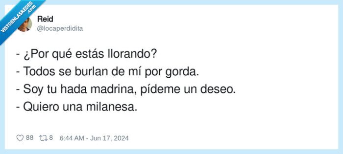 milanesa,hada madrina,llorando,gorda
