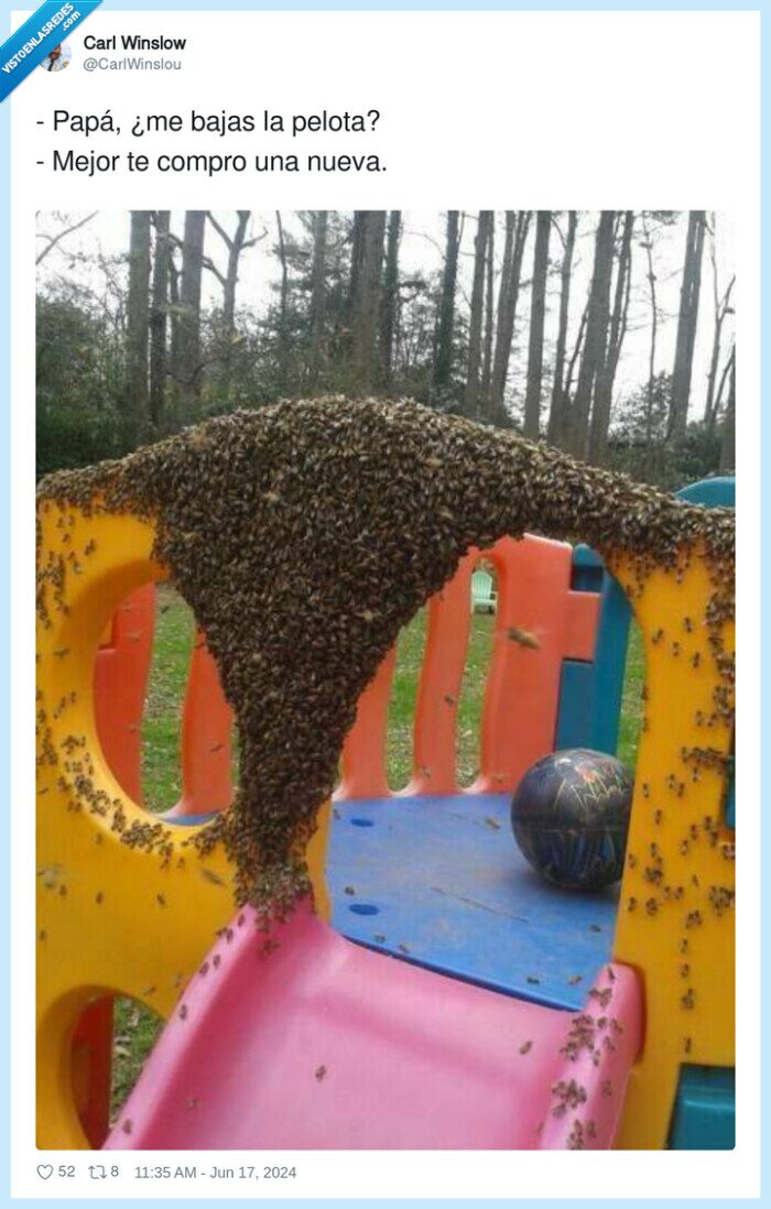 papá,pelota,comprar,abejas,columpio