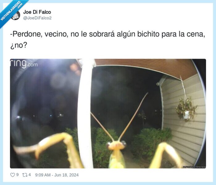 bicho,mirilla,puerta,casa