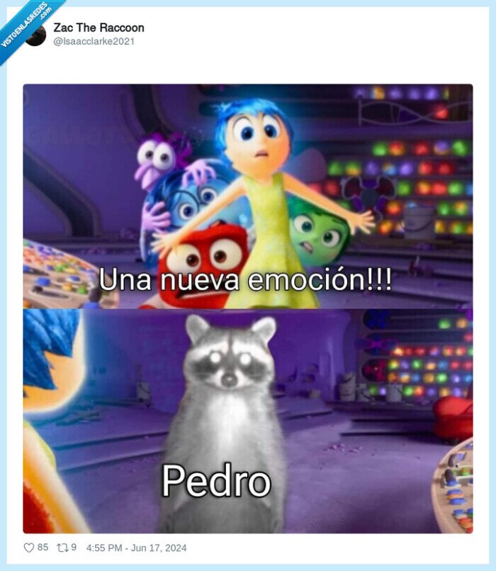 inside out,del reves,emocion,pedro,mapache