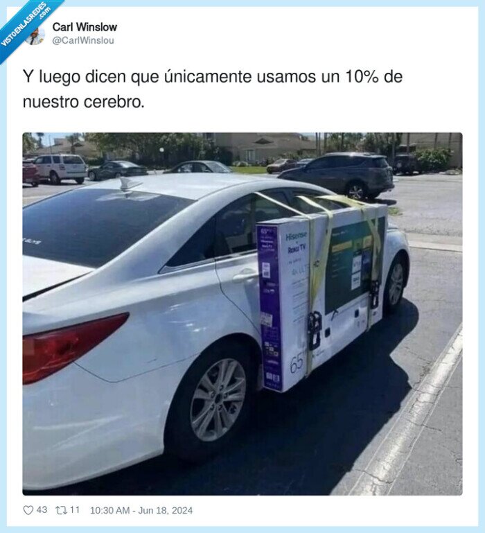 cerebro,coche,tv,transporte